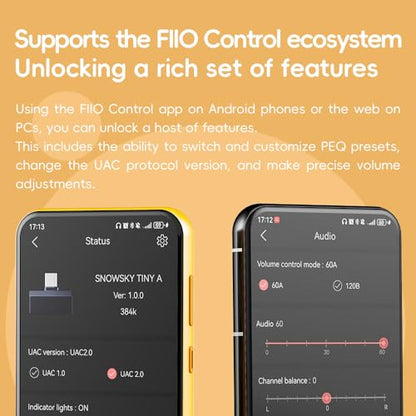 FiiO/Snowsky Tiny Portable DAC & Headphone Amplifier, Hi-Res USB DAC, PEQ Precision Tuning, PCM 384kHz/DSD256 Decoding, Android App/Web Control (3.5mm + Type-C Dual Ports,Tiny A Silver)