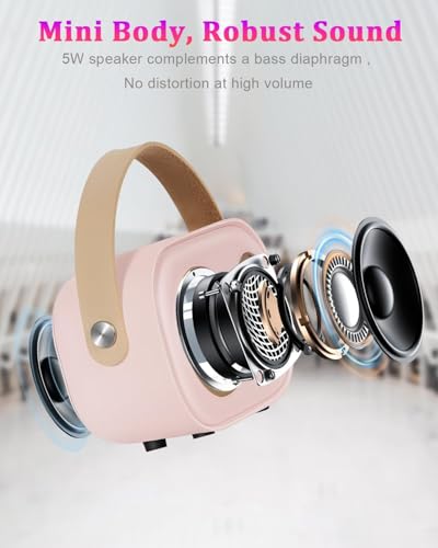 PRUNUS C20 Mini Karaoke Machine,Valentines Day Gifts Her Him Kids Mens - color: C20-Pink