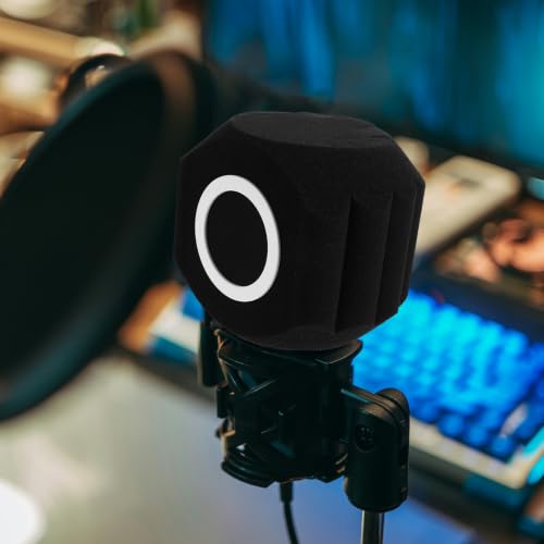 LABRIMP Professional Microphone Wind Shield Isolation Ball with Acoustic Foam for Comprehensive Noise Reduction and Allround Isolation, Black Plastic and Sponge Material, for Voiceover