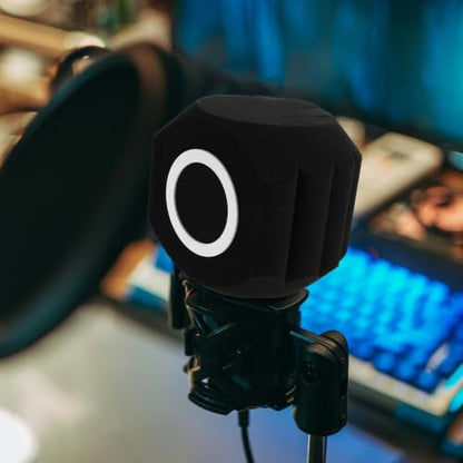LABRIMP Professional Microphone Wind Shield Isolation Ball with Acoustic Foam for Comprehensive Noise Reduction and Allround Isolation, Black Plastic and Sponge Material, for Voiceover