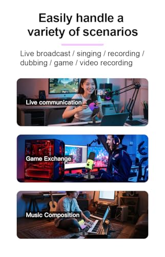 USB/XLR Dual-Mode Desktop Microphone, RGB Lighting, 3.5mm Monitoring Jack, Professional Live Broadcast (Microphone Boom Arm Dual Cable Clip) - style: Microphone Boom Arm Dual Cable Clip