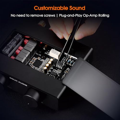 Douk Audio A5 2 Channel TPA3255 Stereo Amp, 300 Watts x2 Mini Hi-Fi Audio Power Amplifier Class D for Home Theater System, Passive Bookshelf Tower Speakers with High-Pass Filter + 32V Power Supply