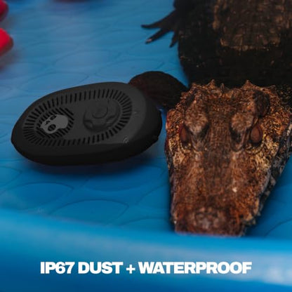 Skullcandy Session 540 Portable Lightweight Bluetooth Speaker - True Black | Waterproof, Dustproof, 17 Hours of Playtime, Built for Home, Outdoors, Party, Travel, Big Sound, iPhone Android Compatible - color: True Black