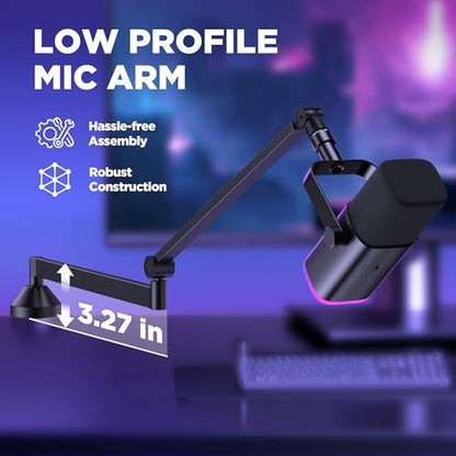 InnoGear 360° Rotatable Microphone Boom Arm Mic Stand & 8 Pieces Mic Stand Adapter for Fifine AM8 K669B Blue Yeti HyperX QuadCast SoloCast AT2020 and More