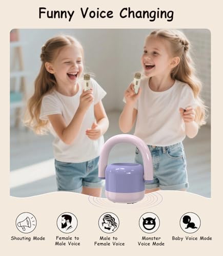 EWA Portable Mini Metal Karaoke Machine, Bluetooth Karaoke Speaker with 2 Wireless Microphones, Ideal Gifts for Girls Boys Family Home Party Birthday Christmas Toys Gifts-(Purple) - color: Purple