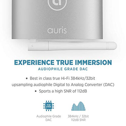 Blume HD Long Range Bluetooth 5.3 Music Receiver Hi-Fi Audio Adapter with Audiophile DAC, LDAC & AptX HD for Home Stereo, AV Receiver or Amplifier - color: Silver