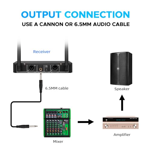 FU-2002 Dual Handheld UHF Wireless Microphone System - 260ft Range, Auto Pairing, LCD Display for Church/Speech/Meeting