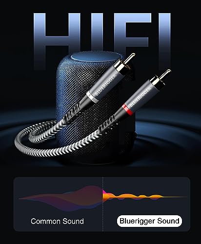 BlueRigger 3.5mm to RCA Audio Cable (25FT, RCA Male to Aux Audio, Braided, Headphone Jack Adapter, Metal Shell) - for Phones, Amplifiers, Tablets, Home Theater, Speakers, HDTV - size: 25FT, style: Regular