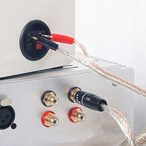 XMSJSIY RCA to Banana Pin Plug Speaker Wire,HiFi OFC Speaker (5 M) - size: 5 M