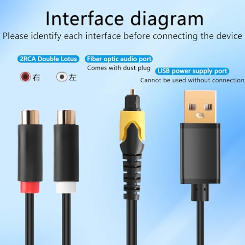GINTOOYUN USB to 2RCA Female Digital Optical Cable to RCA Analog Audio Converter 1.5FT Optical to RCA Analog Converter for TV/PS4/Xbox/DVD/TOSLINK/Optical Port to Sound Box Amplifier Headset