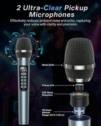 Karaoke Machine Portable Outdoor Speaker with 2 Wireless Microphones
