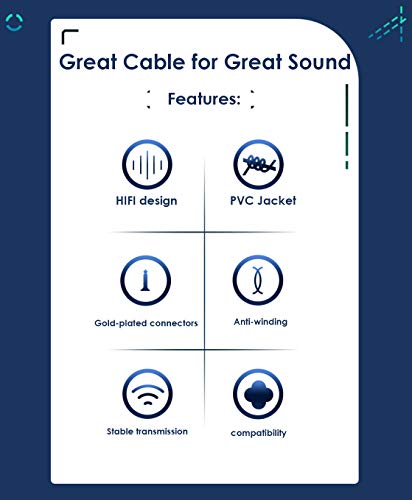 Dual XLR Male to RCA/Phono Audio HiFi Cord, 2 XLR to 2 RCA Interconnect Lead Patch Wire Adapter, 3.3 FT - size: 3.3 FT
