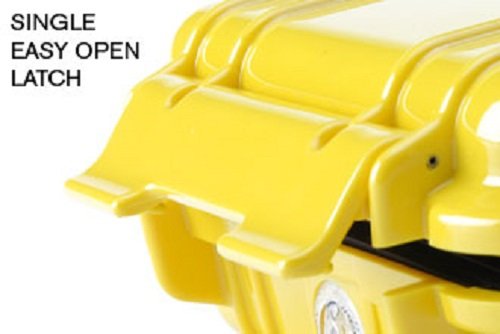 Pelican 1020 Micro Case (Blue/Clear) - color: Blue/Clear