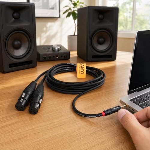 NANYI 3.5mm to 2 XLR Female Y-Splitter Audio Microphone Cable, 1.6ft - size: 3.5mm To 2XLR Female-1.6FT