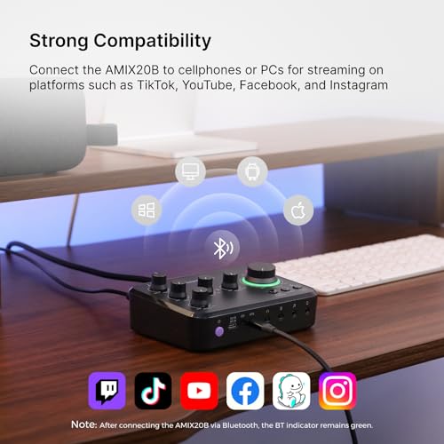 NearStream Audio Interface for Recording/Streaming/Podcasting (AMIX20B)