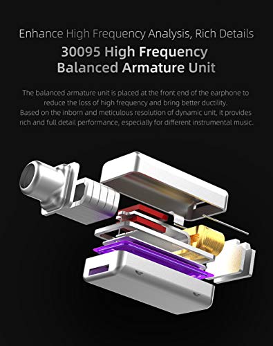 KZ ZST X Hybrid in-Ear Earphones with Mic, Purple | HiFi Musician Monitor Earbuds, Detachable 2-Pin Cable, 10mm DD+BA, Noise-Isolating, In-Ear Headphones, Gaming IEM - color: Purple, size: With Mic