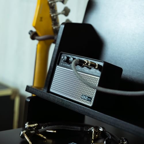 Rechargeable Wireless BT Mini Bass Guitar Amplifier 10 Watt Practice Amp 10,000Ah Battery, BT or Aux Input, Headphone Out, Clean, Gain, Tone & Volume Knobs, Dual Full Frequency Speakers