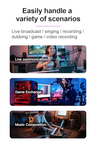 USB/XLR Dual-Mode Desktop Microphone, RGB Lighting, 3.5mm Monitoring Jack, Professional Live Broadcast (Microphone + Boom Arm Stand) - style: Microphone + Boom Arm Stand
