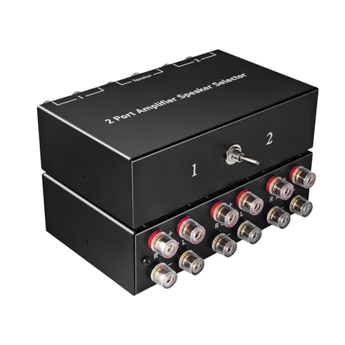 Dingsun 2-Way Audio Switcher Can Support Two Amplifiers, One Audio or One Amplifier, Speaker Switcher Selector Switch Splitter Loudspeaker Control Combiner Box 2(1)-in-1(2)-Out