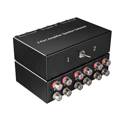 Dingsun 2-Way Audio Switcher Can Support Two Amplifiers, One Audio or One Amplifier, Speaker Switcher Selector Switch Splitter Loudspeaker Control Combiner Box 2(1)-in-1(2)-Out