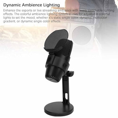 Gaming Microphone, USB PC Noise Cancellation Condenser Mic with Quick Mute for Gaming, Streaming Podcasts Videos Twitch, Discord (Black)