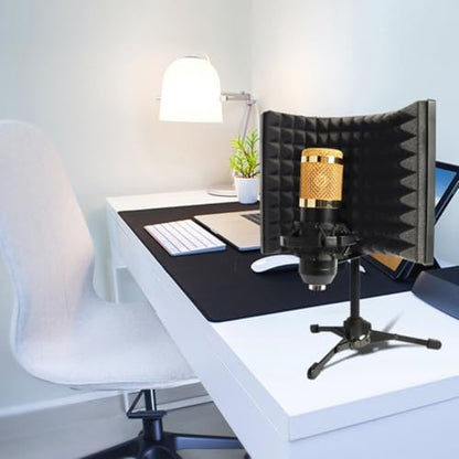 HANABASS Portable Folding Microphone Windshield Shield with Sponge and Metal Three Panels Combination, Sound Absorber Panel for Studio Recording and Broadcasting Room, Easy to Carry