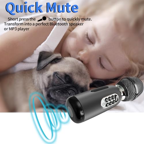 YF73 20W Karaoke Mic, Dual MIC, BT5.0, TF, Home/Part - color: YF73