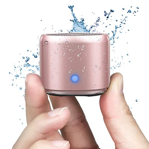 EWA Travel Case Packed, A106 Pro Portable Bluetooth Speaker with Custom Bass Radiator, Brief Design, IP67 Waterproof, Perfect Mini Speaker for Shower, Room, Bike, Car (Rosegold) - color: RoseGold