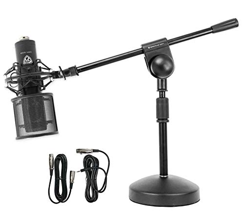 Rockville RCM PRO XLR Studio Condenser Microphone with RDMS70 Boom Stand | 48V Cardioid, 25mm Cartridge, 20Hz-20kHz, 142dB Max SPL, 2 10' Cables, Shock Mount, Windscreen, Desktop Boom Stand, 2-Items