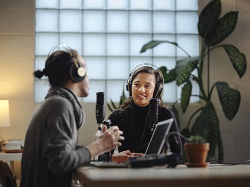 AKG Pro Audio P120 - Affordable 2/3-Inch Diaphragm Condenser Microphone for Clear Vocals & Instruments. Studio Recording or Live. XLR Connector. Black | Key details: Audio P120, Affordable 2/3 Inch Diaphragm Condenser Microphone - style: P120