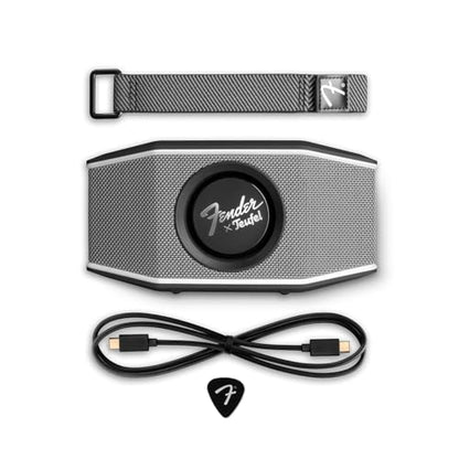 Teufel Fender x ROCKSTER GO 2 Portable Bluetooth Speaker | Powerful Sound, Rugged, Waterproof, 28 Hour Battery, Carrying Strap for Outdoors and Travel