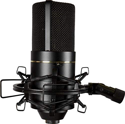 MXL 770 Condenser Microphone for Podcasting, Singing, Home Studio Recording, Gaming & Streaming | XLR | Large Diaphragm | Cardiod (Black) - style: MXL 770