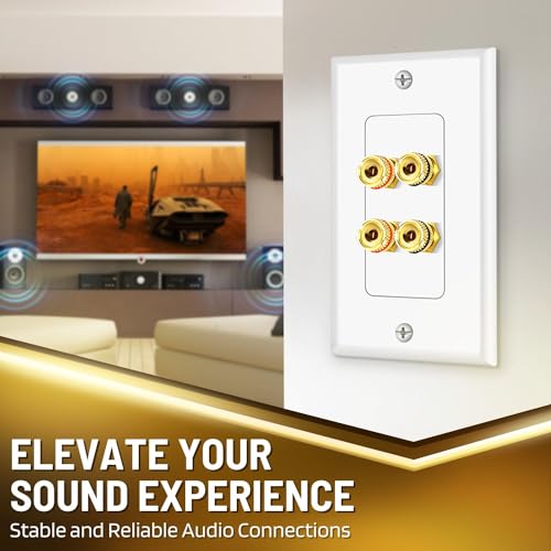 TNP Speaker Wall Plate for 1 Speaker, Banana Plug, Single Gang, White | Speaker Wire Wall Outlet with Gold-Plated Binding Posts for Spades or Bare Wire; for Home Theater and Surround Sound Setups - size: 2-Speaker