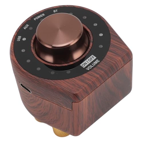 100W 5.0 Small Amplifier, HiFi Stereo Sound Digital Amp with AUX USB BT, for Mobile Phones Tablets Computers TVs Speakers
