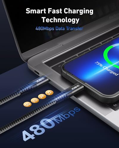 USB C to C 케이블 60W [2팩 3FT], USBC to USBC 고속 충전 케이블 | CarPlay 내구성이 뛰어난 브레이드 아이폰 USB C 충전기 케이블 USB 타입 C 코드 아이폰 17/16/15/프로 맥스, 갤럭시 S23 및 기타용 - 블랙 - color: 블랙., size: 3피트, style: USB C - USB C