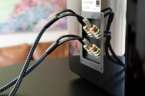 SVS SoundPath Ultra Bi-Wire Speaker Cable with Spade Connectors - Each (10 ft.) - size: 10 feet