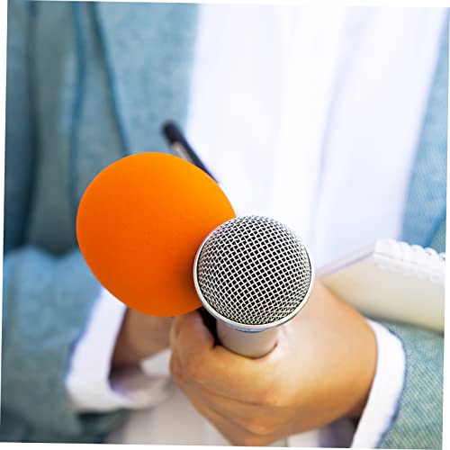 Microphone Protective Case Holder with Metal Zipper and Sponge Lining