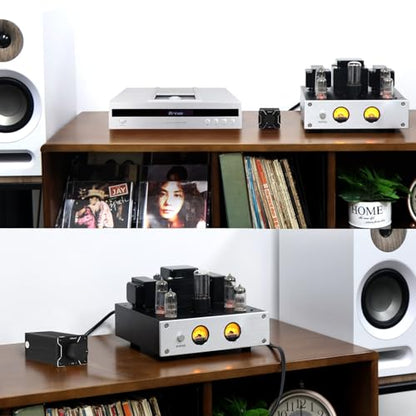 Nobsound High Precision Passive Preamp Volume Controller VOL Control HiFi Preamplifier (Hi-Fi Version) - color: Upgrade Version
