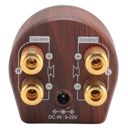 100W 5.0 Small Amplifier, HiFi Stereo Sound Digital Amp with AUX USB BT, for Mobile Phones Tablets Computers TVs Speakers