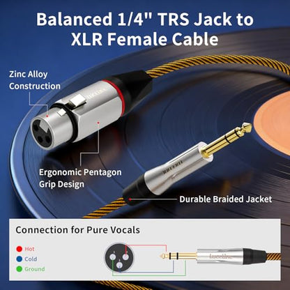 Balanced XLR to 1/4 Inch TRS Audio Cable, Pro Patch Cord for Studio Mixers & Monitors - XLR Female to 6.35mm, 3.3ft (1m) - size: 3.3 Feet, style: XLR Female to 6.35mm