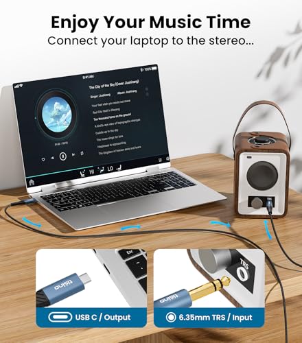 Tisino USB C to 1/4 Inch Audio Cable, USB C to Aux, 32bit/384KHz, 3.3FT | Aux Cable to USB C Audio Cord for Phone Laptop to Amplifier Speaker Mixer Headphone, HiFi DAC - size: 3.3 ft