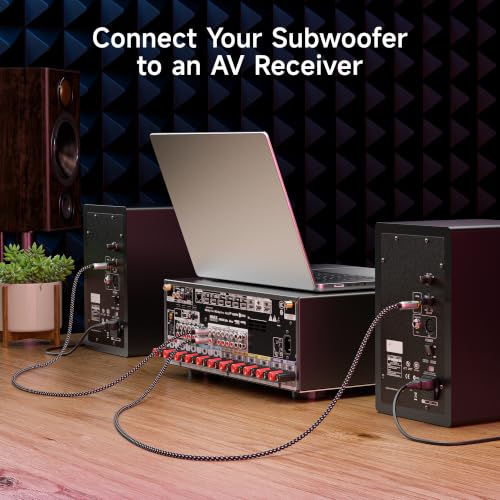 Cable Matters 2-Pack Shielded Subwoofer Cable, RCA Cable, 10ft / 3m | Braided, Digital Coaxial RCA Cord for LFE Subwoofers, S/PDIF Digital Audio, Home Theater, and A/V Equipment - size: 10 Feet