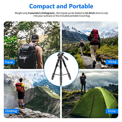 NEEWER Portable Aluminum Alloy Camera 2 in 1 Tripod Monopod Max. 70"/177cm with 3 Way Swivel Pan Head and Carrying Bag for DSLR, DV Video Camcorder (SAB264, Black) - style: SAB264/Black