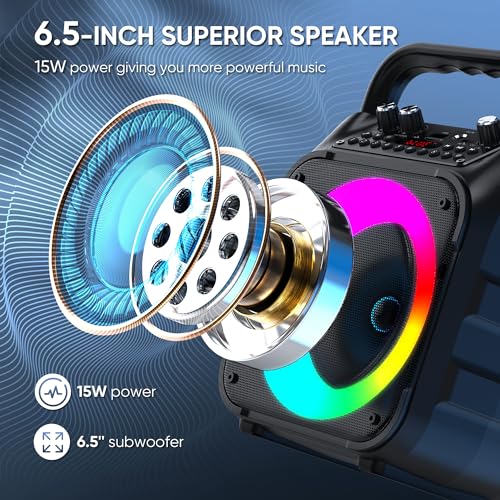 Karaoke Machine, Portable Bluetooth Speaker with 2 Wireless Microphones for Adults & Kids with Lights, Karaoke Microphone with PA System Supports USB/TF/REC/FM/AUX for Home Party Home System Packages - size: 2 Mics