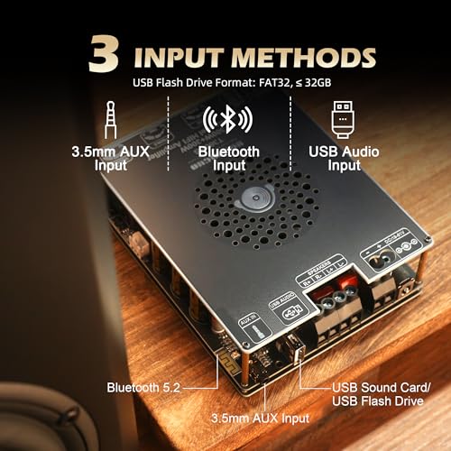 T300HS Amplifier Board with Treble and Bass Control, DC 9-24V, BT and AUX Inputs, 2.0 Channel Stereo AMP Board for DIY Wireless Speakers, Password Free - color: T300HS (Black1)