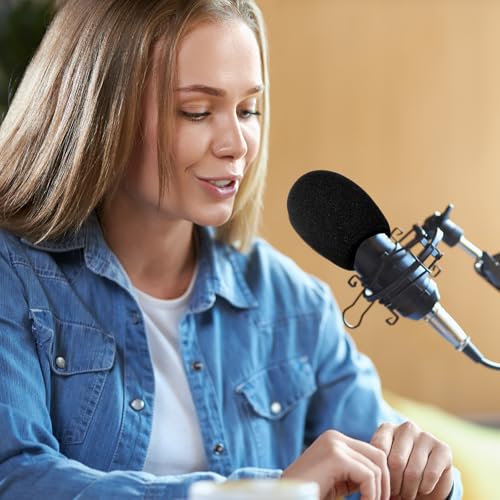 Microphone Cover, 2PCS Foam Mic Covers Black Microphone Windscreen Pop Filter Covers Microphones Accessories for Most Standard Handheld Microphones