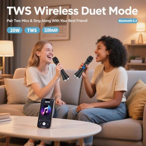 YF79 20W Wireless Karaoke Mic, 2 Mics, 10H Battery, for Home/Party - color: YF79