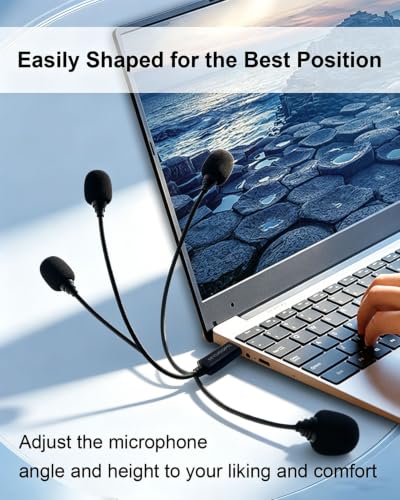 Mini USB Microphone for Computer, USB-A Interface with Gooseneck Compatible with PC and Mac for Meeting Call Voice, Plug & Play (Black)