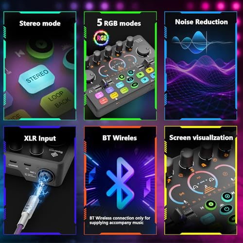RS2i2 2-Person Podcast Equipment Bundle, Dynamic Mics with Audio Interface