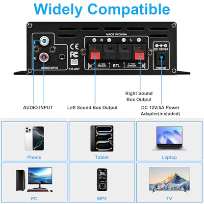 Romicta Stereo Audio Amplifier, 2.0 CH Mini Home Audio Bluetooth 5.0 Stereo Receivers with 400W, FM, AUX, USB, Microphone Input, 12V 5A Power Supply, Power Amplifier for Car Home Bar Party
